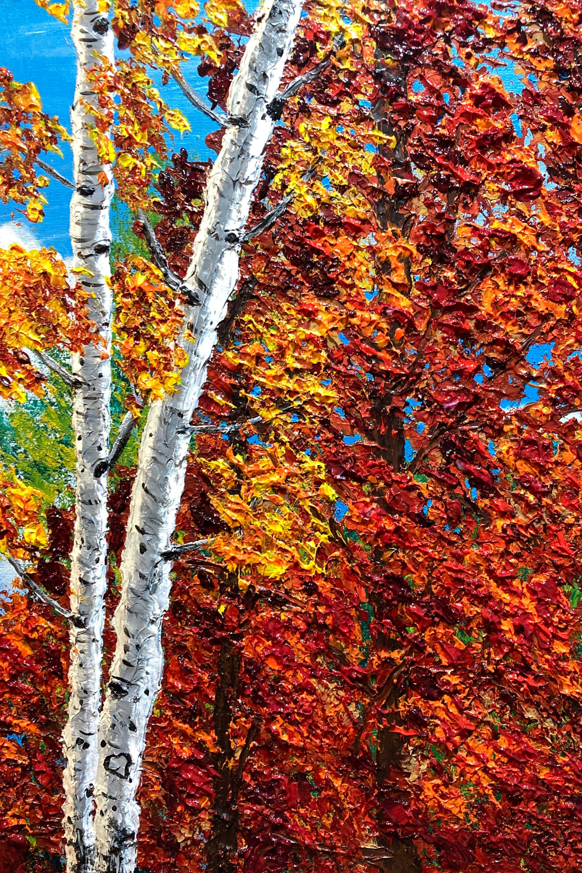 Autumn Aspen & Maple Reproduction Prints