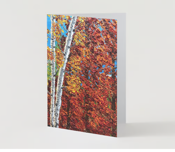 Autumn Aspen & Maple 5" x 7" Greeting Card