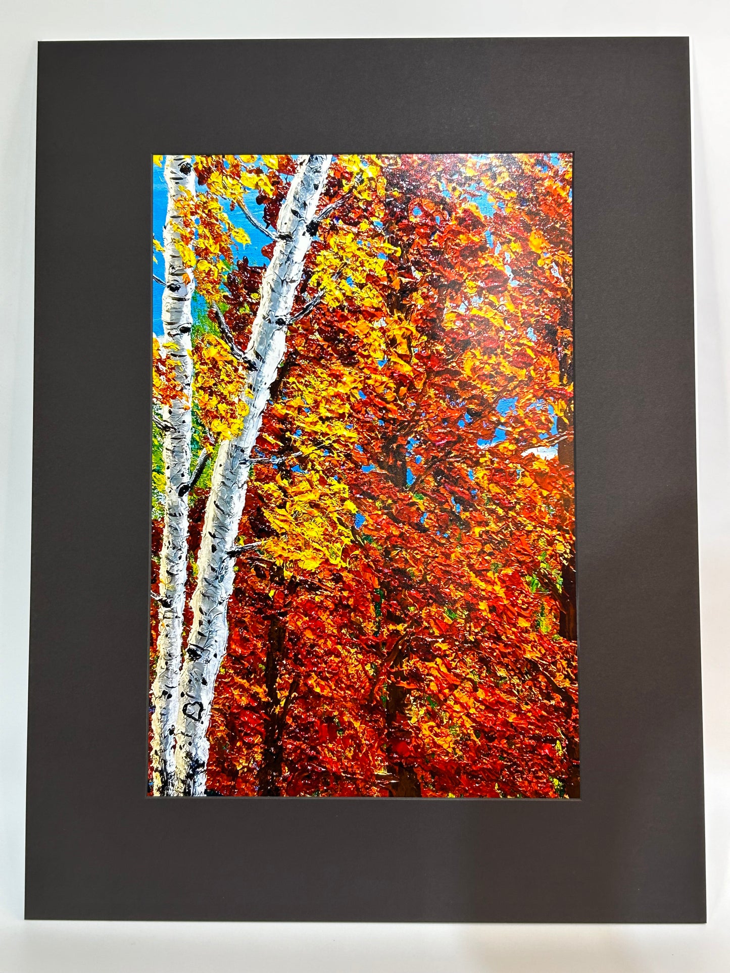 Autumn Aspen & Maple Reproduction Prints