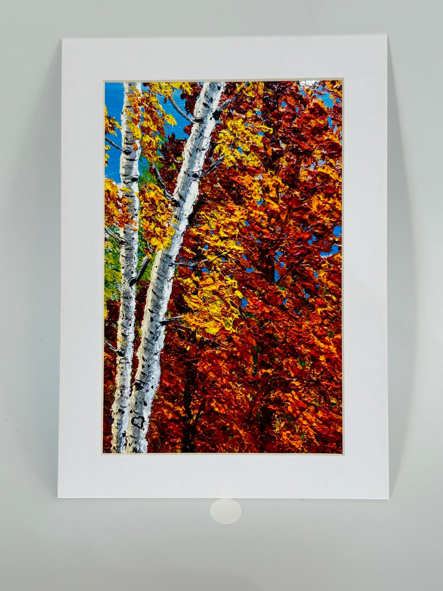 Autumn Aspen & Maple Reproduction Prints