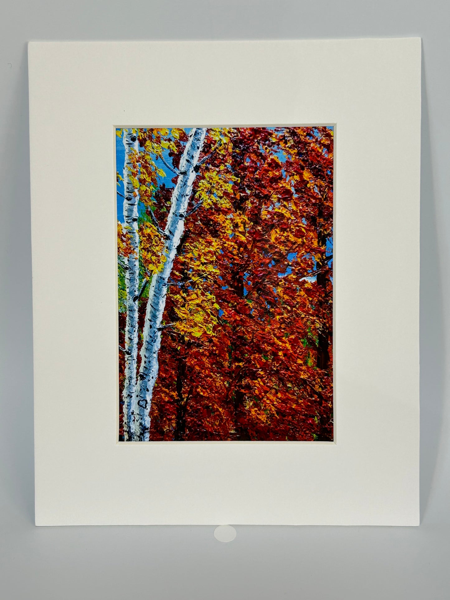 Autumn Aspen & Maple Reproduction Prints