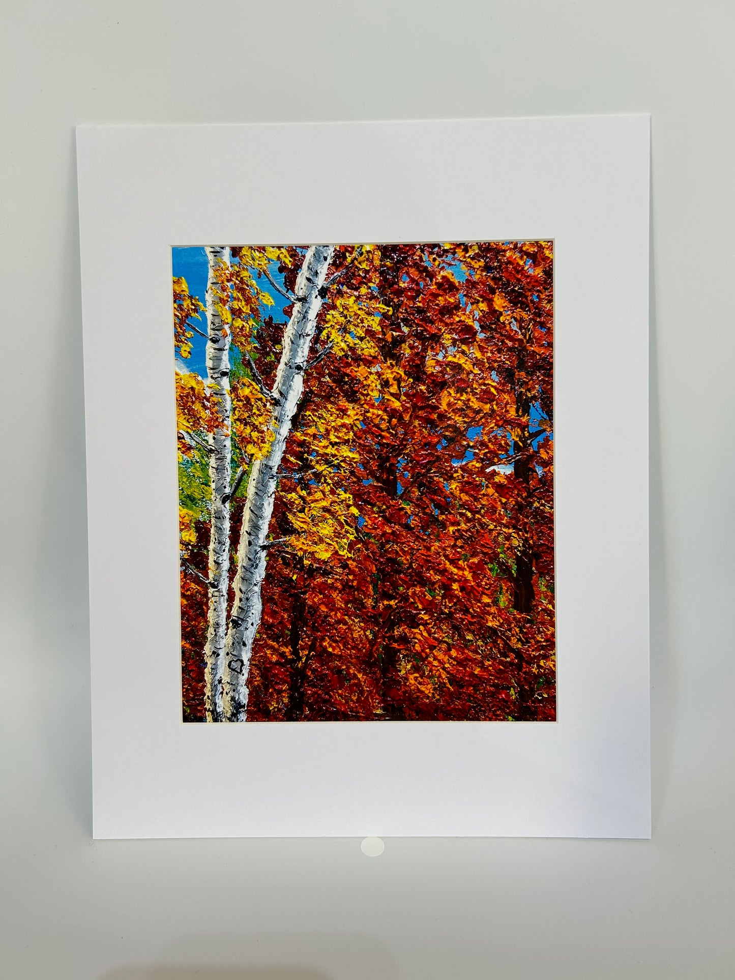 Autumn Aspen & Maple Reproduction Prints